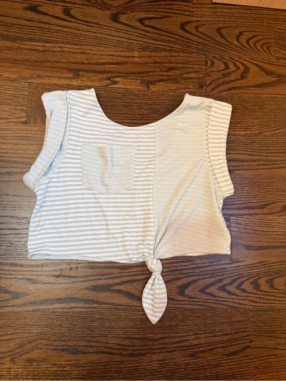 Dolce Vita Blue and White Striped Tie-Front Crop Top